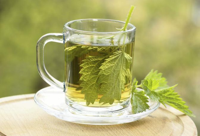 benefits of nettle tea